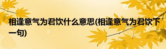 相逢意气为君饮什么意思(相逢意气为君饮下一句)