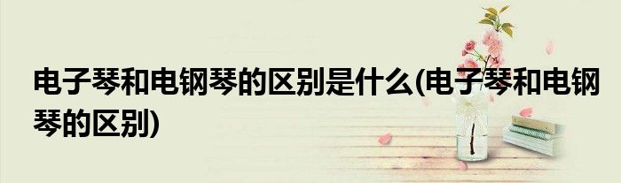 电子琴和电钢琴的区别是什么(电子琴和电钢琴的区别)