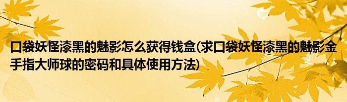 口袋妖怪漆黑的魅影怎么获得钱盒(求口袋妖怪漆黑的魅影金手指大师球的密码和具体使用方法)
