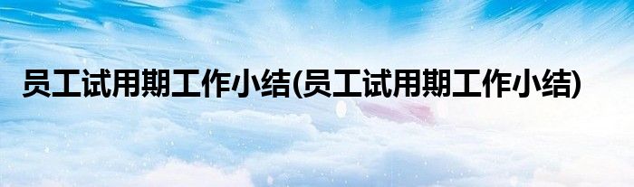 员工试用期工作小结(员工试用期工作小结)