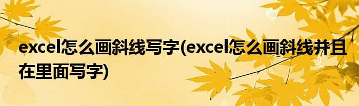 excel怎么画斜线写字(excel怎么画斜线并且在里面写字)