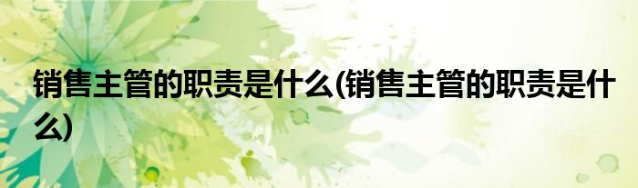 销售主管的职责是什么(销售主管的职责是什么)