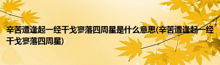 辛苦遭逢起一经干戈寥落四周星是什么意思(辛苦遭逢起一经干戈寥落四周星)