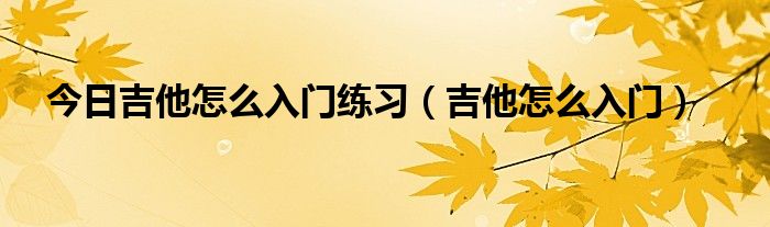 今日吉他怎么入门练习（吉他怎么入门）