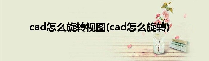 cad怎么旋转视图(cad怎么旋转)