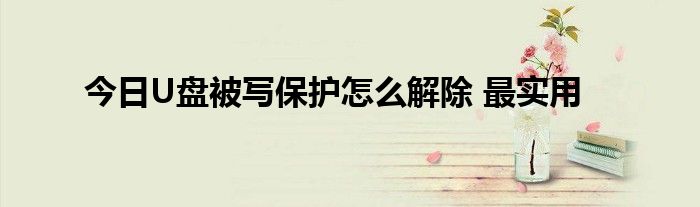 今日U盘被写保护怎么解除 最实用