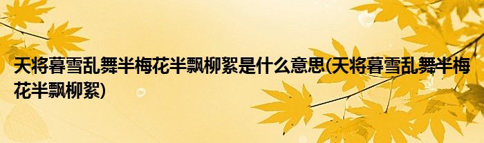 天将暮雪乱舞半梅花半飘柳絮是什么意思(天将暮雪乱舞半梅花半飘柳絮)