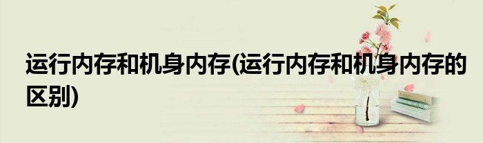 运行内存和机身内存(运行内存和机身内存的区别)