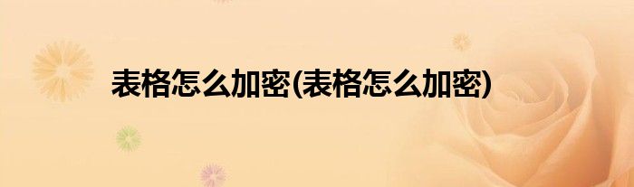 表格怎么加密(表格怎么加密)