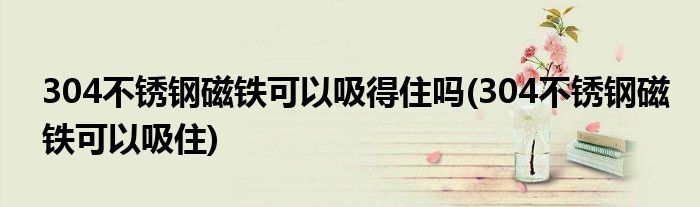 304不锈钢磁铁可以吸得住吗(304不锈钢磁铁可以吸住)