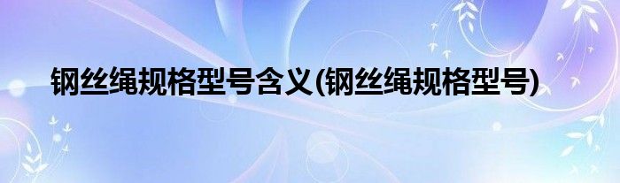 钢丝绳规格型号含义(钢丝绳规格型号)
