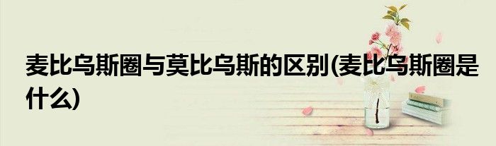麦比乌斯圈与莫比乌斯的区别(麦比乌斯圈是什么)