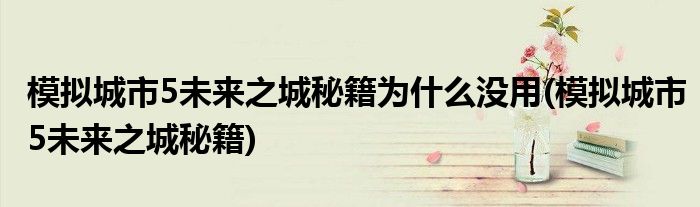 模拟城市5未来之城秘籍为什么没用(模拟城市5未来之城秘籍)