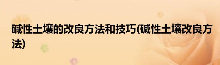 碱性土壤的改良方法和技巧(碱性土壤改良方法)