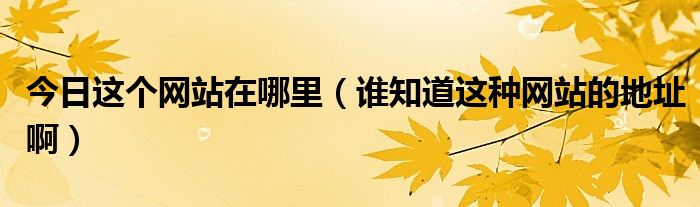 今日这个网站在哪里（谁知道这种网站的地址啊）