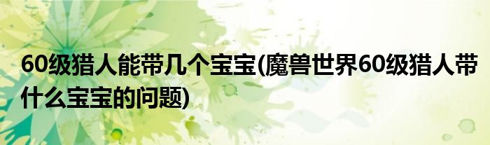 60级猎人能带几个宝宝(魔兽世界60级猎人带什么宝宝的问题)