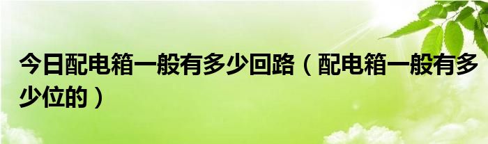今日配电箱一般有多少回路（配电箱一般有多少位的）