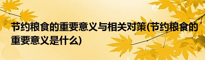节约粮食的重要意义与相关对策(节约粮食的重要意义是什么)