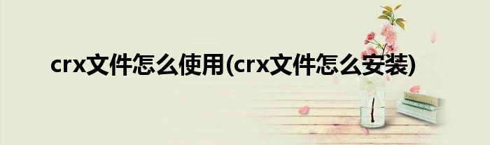 crx文件怎么使用(crx文件怎么安装)