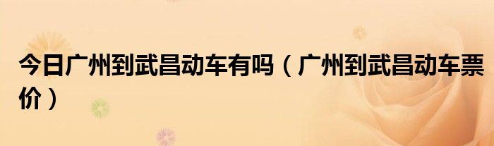今日广州到武昌动车有吗（广州到武昌动车票价）