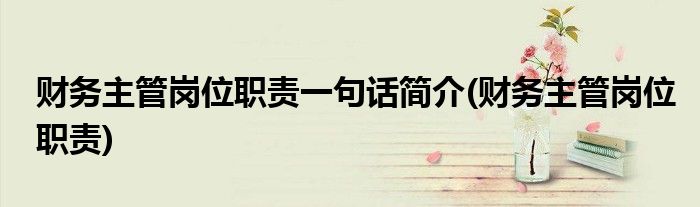 财务主管岗位职责一句话简介(财务主管岗位职责)