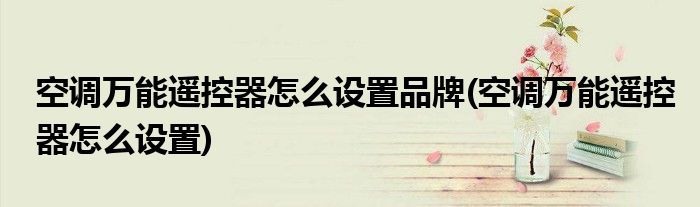 空调万能遥控器怎么设置品牌(空调万能遥控器怎么设置)