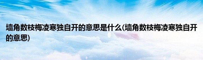 墙角数枝梅凌寒独自开的意思是什么(墙角数枝梅凌寒独自开的意思)
