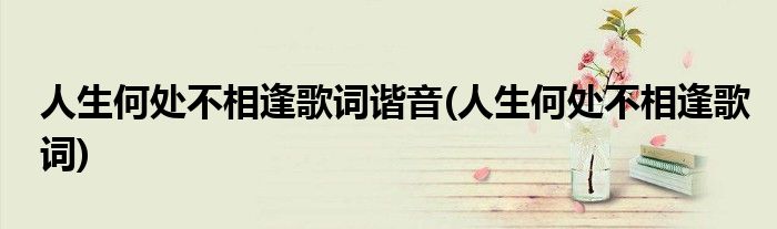 人生何处不相逢歌词谐音(人生何处不相逢歌词)