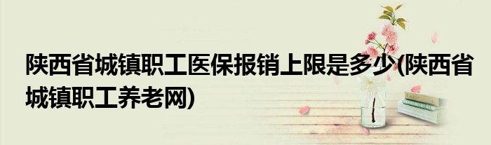陕西省城镇职工医保报销上限是多少(陕西省城镇职工养老网)