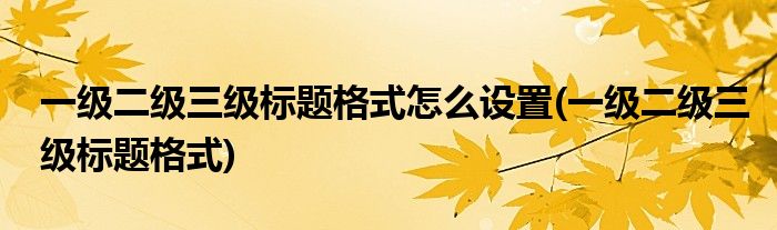一级二级三级标题格式怎么设置(一级二级三级标题格式)