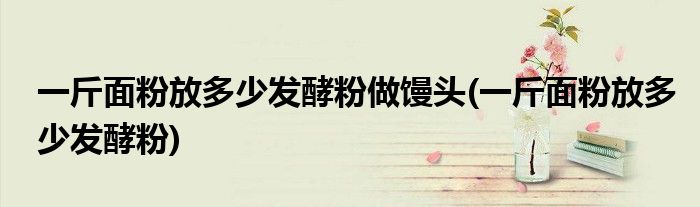 一斤面粉放多少发酵粉做馒头(一斤面粉放多少发酵粉)