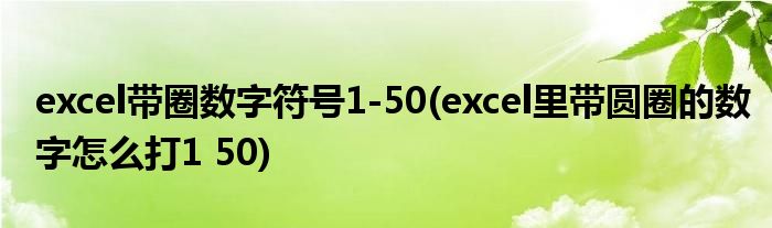 excel带圈数字符号1-50(excel里带圆圈的数字怎么打1 50)