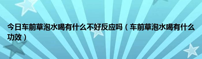 今日车前草泡水喝有什么不好反应吗（车前草泡水喝有什么功效）