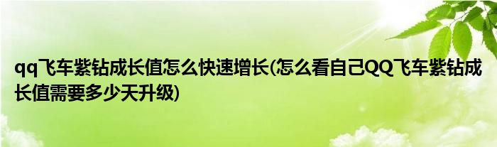 qq飞车紫钻成长值怎么快速增长(怎么看自己QQ飞车紫钻成长值需要多少天升级)