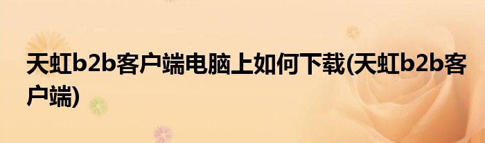 天虹b2b客户端电脑上如何下载(天虹b2b客户端)