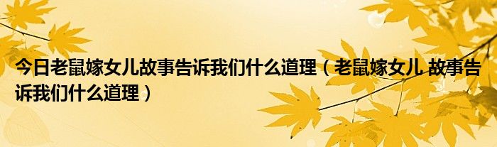 今日老鼠嫁女儿故事告诉我们什么道理（老鼠嫁女儿 故事告诉我们什么道理）