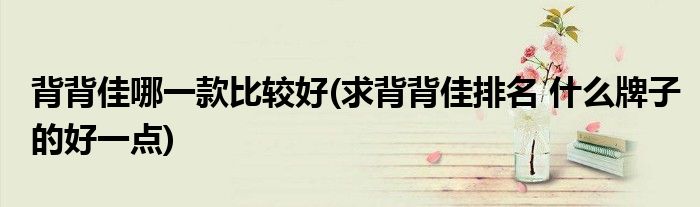 背背佳哪一款比较好(求背背佳排名 什么牌子的好一点)