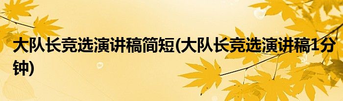 大队长竞选演讲稿简短(大队长竞选演讲稿1分钟)