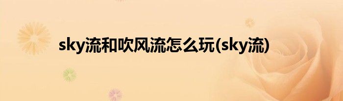 sky流和吹风流怎么玩(sky流)
