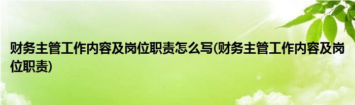 财务主管工作内容及岗位职责怎么写(财务主管工作内容及岗位职责)