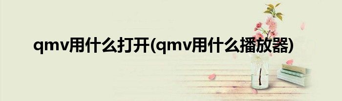 qmv用什么打开(qmv用什么播放器)