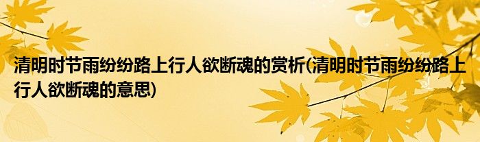 清明时节雨纷纷路上行人欲断魂的赏析(清明时节雨纷纷路上行人欲断魂的意思)