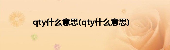 qty什么意思(qty什么意思)