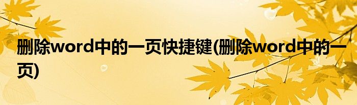 删除word中的一页快捷键(删除word中的一页)