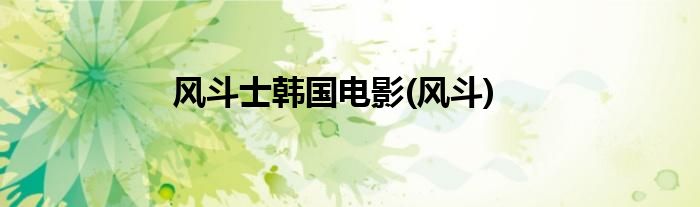 风斗士韩国电影(风斗)