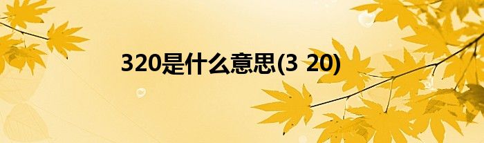 320是什么意思(3 20)