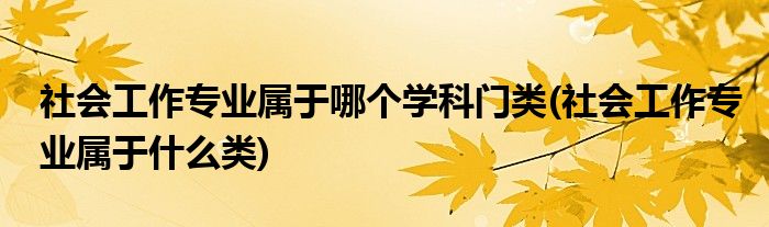 社会工作专业属于哪个学科门类(社会工作专业属于什么类)