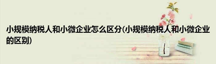 小规模纳税人和小微企业怎么区分(小规模纳税人和小微企业的区别)