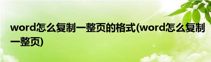 word怎么复制一整页的格式(word怎么复制一整页)