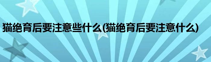 猫绝育后要注意些什么(猫绝育后要注意什么)